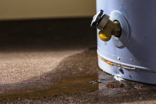 Water damage restoration experts in Linden, NJ