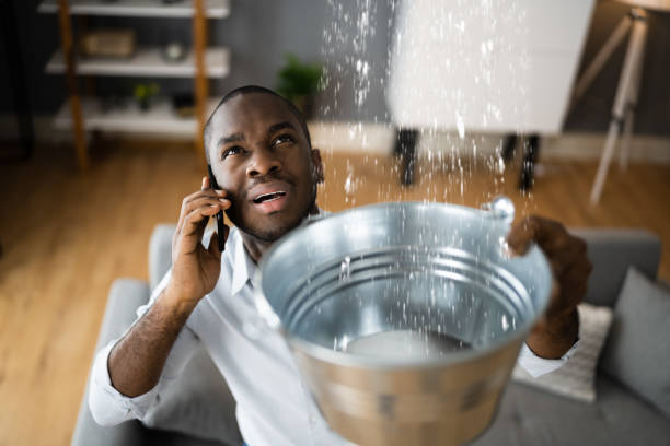 Best Residential water damage restoration  in Linden, NJ