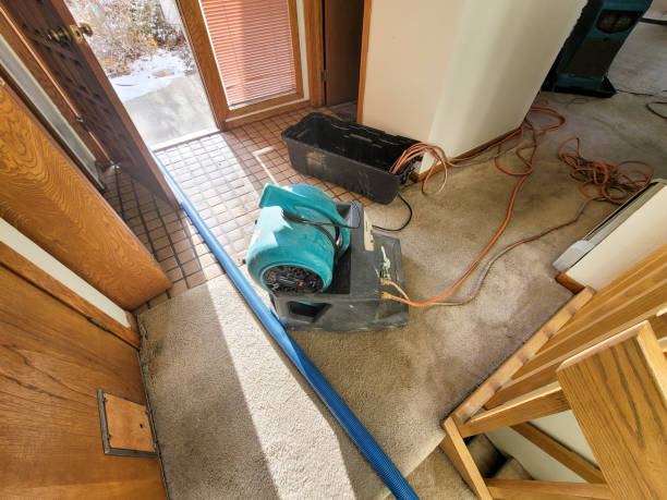 Best Water damage restoration company  in Linden, NJ