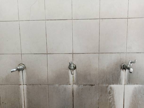 Best Water damage restoration near me  in Linden, NJ