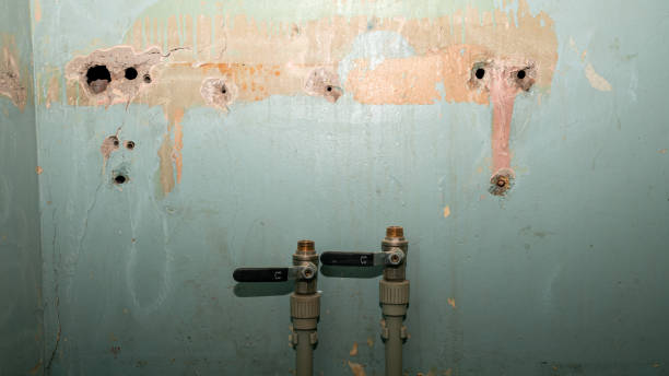 Reliable Linden, NJ Water damage restoration Solutions