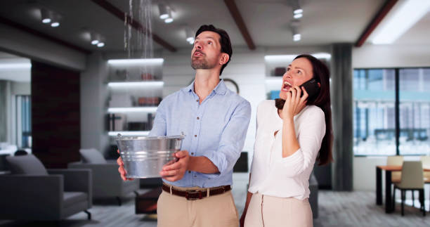 Reliable Linden, NJ Water damage restoration Solutions